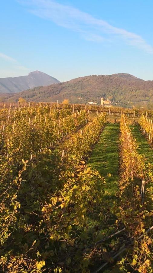 Acero Rosso B&B In Franciacorta Erbusco Εξωτερικό φωτογραφία